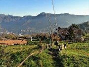 Monte Zucco (1232 m) ad anello in solitaria sui sentieri di casa (Zogno-300 m) 18nov闂????20 - FOTOGALLERY